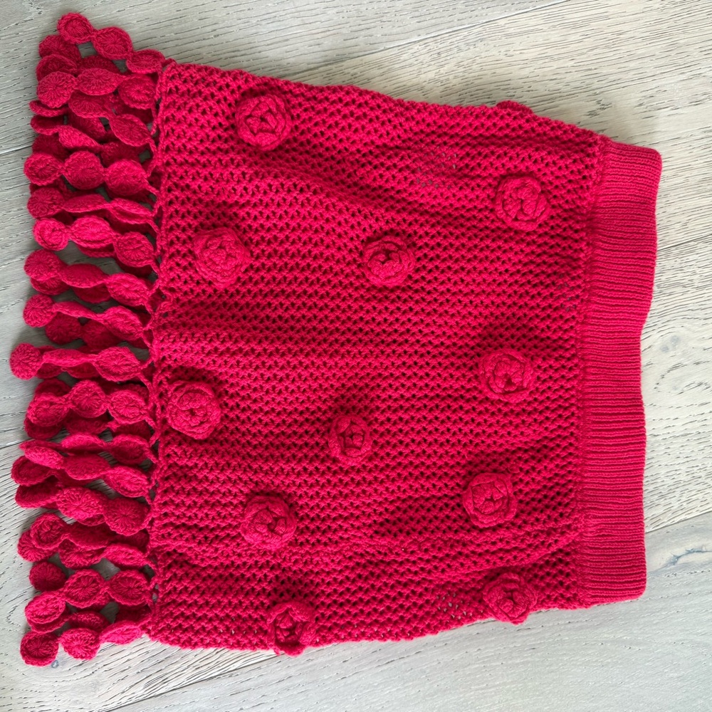 Lovers + Friends Domatilla Red Crochet mini Skirt - Picture 6 of 7